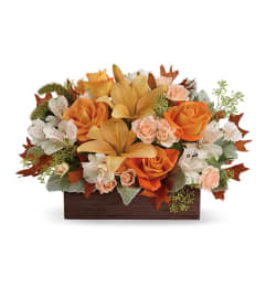 Teleflora Fall Chic Arrangement. An arrangement by Jimmy's Flower Shop.