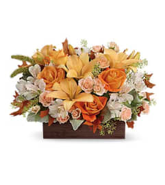 Fall Chic Arrangement by Teleflora. An arrangement by Tim's Florist and Garden.