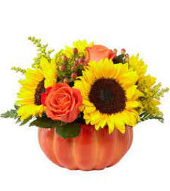 Autumn Harvest Pumpkins and Spice. An arrangement by The Village Green Florist.