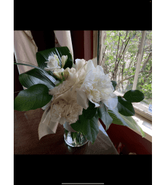 Peony Precious. An arrangement by Silver Rose Emotions.