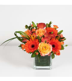 Tangerine Twists. An arrangement by McKFlowers.