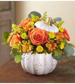 Fallin' For You Pumpkin. An arrangement by Lynette's Flowers and Gifts.