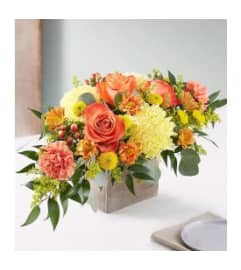 Fall in Wood Arrangement. An arrangement by Aventura Glamour Flowers. Fall in Wood Arrangement. An arrangement by Aventura Glamour Flowers.