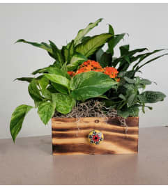TAN BURNT WOODEN DISH GARDEN. An arrangement by Last Minute Gifts and Flowers. TAN BURNT WOODEN DISH GARDEN. An arrangement by Last Minute Gifts and Flowers.