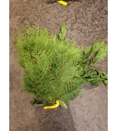 Cedar Bunch. An arrangement by The Bloom Room Floral Company.