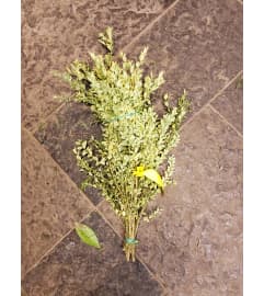 Boxwood Bunches. An arrangement by The Bloom Room Floral Company.