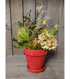 Indoor Seasonal Arrangements. An arrangement by The Bloom Room Floral Company.