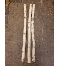 Birch Poles 4 Foot. An arrangement by The Bloom Room Floral Company.