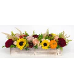 Autumn Woods Harvest. An arrangement by Blue Ridge Flowers. Autumn Woods Harvest. An arrangement by Blue Ridge Flowers.