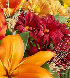 Thanksgiving Deal of the Day !. An arrangement by Blue Ridge Flowers.