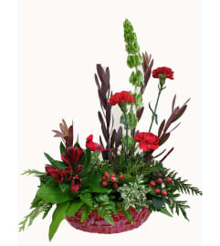 Happy Holiday Cheer. An arrangement by Flowers Plus.