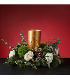 Evening Evergreen Centrepiece. An arrangement by Roma James Gifts.