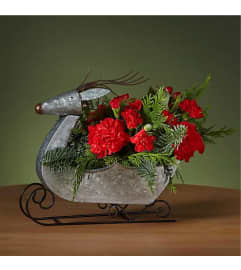 CHRISTMAS PRANCER BOUQUET. An arrangement by J.D. Ballantine's Flowers and Gifts.