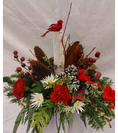 Christmas Contemporary Elegance. An arrangement by Nicol Florist. Christmas Contemporary Elegance. An arrangement by Nicol Florist.