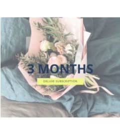 Subscription Packages - Medium Wrapped Bouquet. An arrangement by Roma James Gifts.