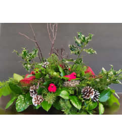 NOEL Centerpiece. An arrangement by Thurston Flowers.