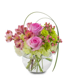 Pink and Buttons. An arrangement by Deer Valley Florist and Flower Delivery.