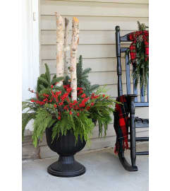 Welcome Home To The Holidays. An arrangement by Blue Ridge Flowers. Welcome Home To The Holidays. An arrangement by Blue Ridge Flowers.
