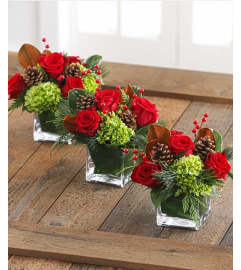 Christmas Trio. An arrangement by The Greenhouse Florist.
