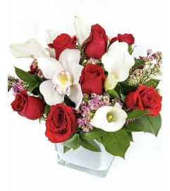 A Touch of Fire and Ice. An arrangement by Flower Lane.