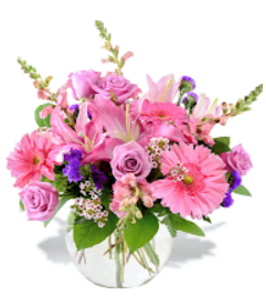 Spring is Approaching. An arrangement by Flower Lane.