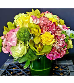 WOW-MAZING. An arrangement by Rosemar Flowers and Gifts.