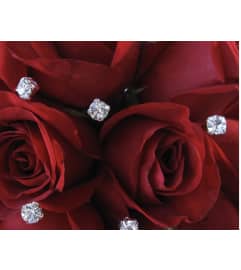 The Ritz dozen rhinestone roses. An arrangement by Kelly Ann's Floral.