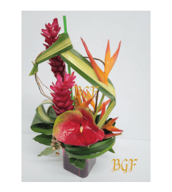 Tropical Swirl. An arrangement by Brickell Exclusive Blooms.