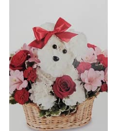 forever in love dog. An arrangement by Last Minute Gifts and Flowers.