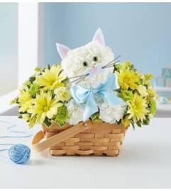 Purrrty in Blue. An arrangement by Lynette's Flowers and Gifts.