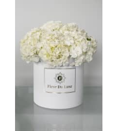 Fresh cut white Hydrangeas in round white box. An arrangement by Grower's Flower Market and Gifts.