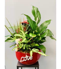 XL LOVE PLANTER. An arrangement by Marianna's Flower Island.