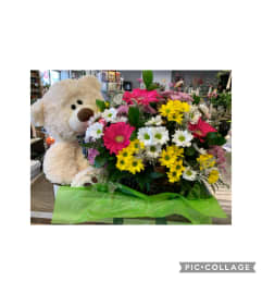 Teddy and daisies. An arrangement by DMP Flowers and Gifts.