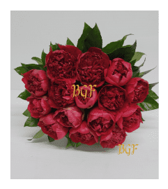 Hand-Tied Pretty Peony Bouquet. An arrangement by Brickell Exclusive Blooms.
