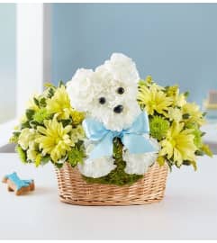 It's a-DOG-able Boy 2022. An arrangement by Royal Louis Florist.