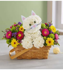 Fabulous Feline 2022. An arrangement by Royal Louis Florist.