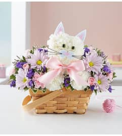 Fabulous Feline for Baby Girl 2022. An arrangement by Royal Louis Florist.
