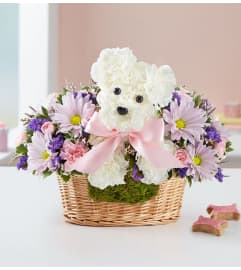 It's a-DOG-able Girl 2022. An arrangement by Royal Louis Florist.