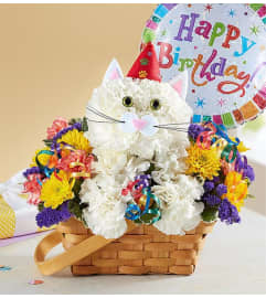 Purrfect Party Cat 2022. An arrangement by Royal Louis Florist.