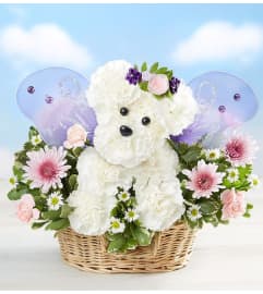 Magical Fairy Dog 2022. An arrangement by Royal Louis Florist.