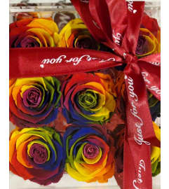 Acrylic Preserved Rainbow Rose Box. An arrangement by Marvellous Florist.