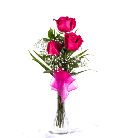 3 Pink Roses in Vase. An arrangement by Awesome Blossom.