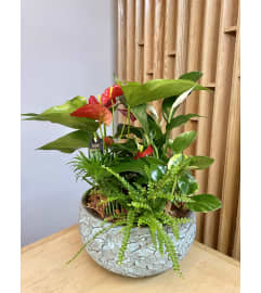 Anthurium and Peace Lilly Planter Vintage Ceramic. An arrangement by Floral Images.