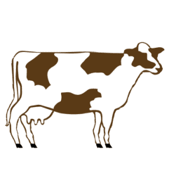 Cow made from flowers. An arrangement by Flowers by Priscilla. Cow made from flowers. An arrangement by Flowers by Priscilla.