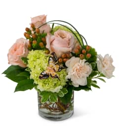 Butterfly Season. An arrangement by Deer Valley Florist and Flower Delivery.