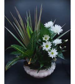 Stillness in Ivory. An arrangement by Hours of Flowers.