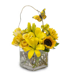 The Butterfly Effect. An arrangement by Deer Valley Florist and Flower Delivery.