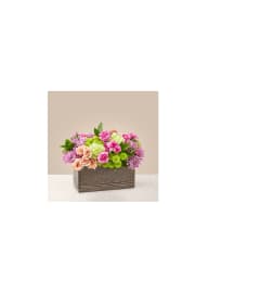 SPRING GARDEN BROWN WOODEN BOX. An arrangement by Last Minute Gifts and Flowers.