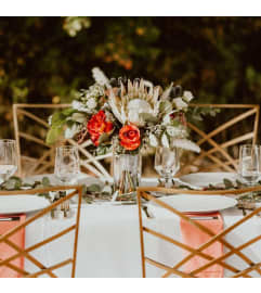 Make a statement. An arrangement by The Petal and the Stem.