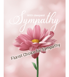 Florist Choice for Funeral Sympathy. An arrangement by Flowers Plus.